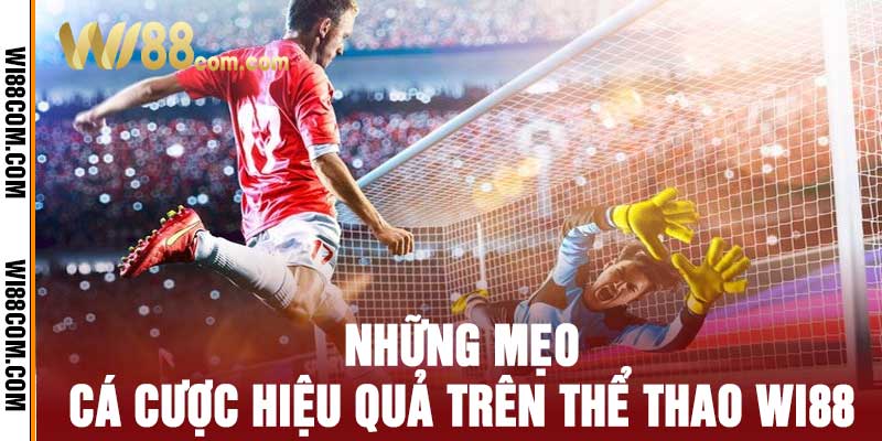 Thể Thao Wi88